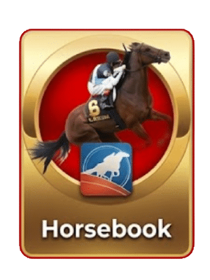 Horsebook กีฬาออนไลน์