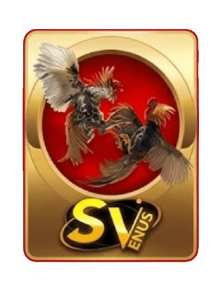 SV ENUS กีฬาออนไลน์